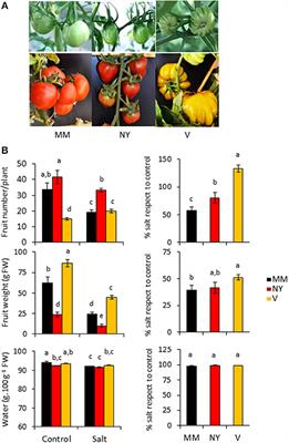 Recovering Tomato Landraces to Simultaneously Improve Fruit Yield and Nutritional Quality Against Salt Stress
